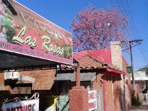 Vivero Y Floreria Las Rosas