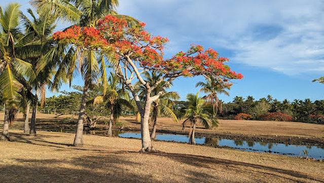 Denarau Golf Centre & Mini golf