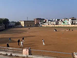 Badi field, Dholpur