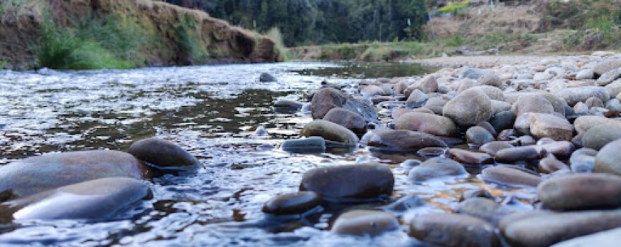 Picnic Spot Poilwa