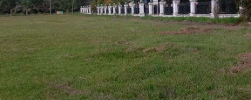 GOR PB CIDO BIS II CIKAMPAK