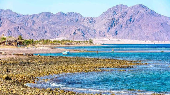 Sinai Life Beach Camp