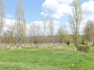 Parc Grădişte