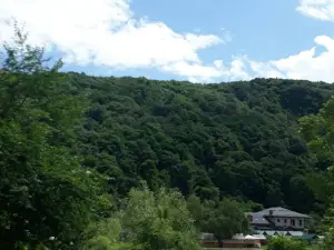 Старая усадьба