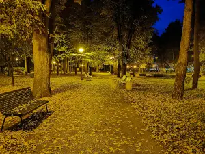 City park
