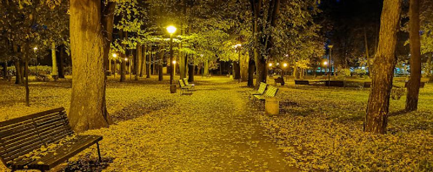 City park