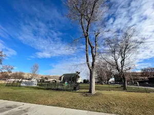 Til Taylor Park