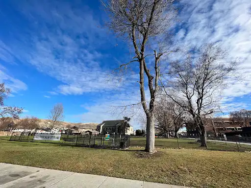 Til Taylor Park