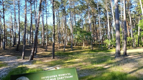 Ruins of St. Nicholas church