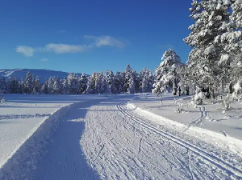 Voss ski- og tursenter