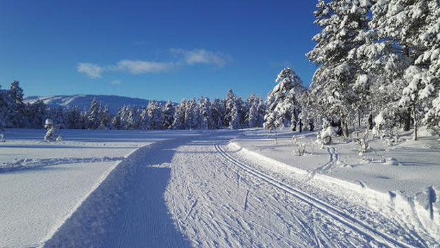 Voss ski- og tursenter
