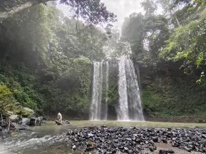 Madai Recreation Forest