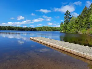 Black River Wild Forest