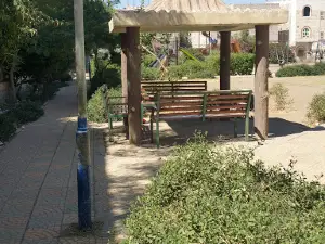 Rehab Garden