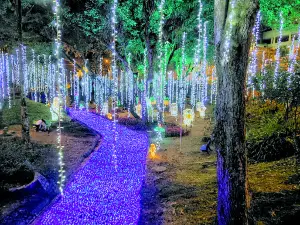 Centenario Park
