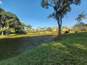Jardim botânico