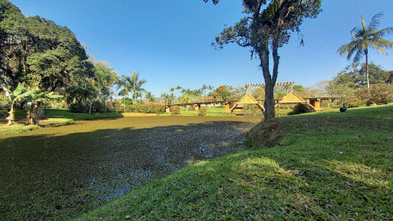 Jardim botânico