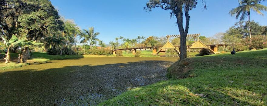 Jardim botânico