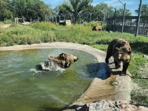 Great Bend Brit Spaugh Zoo