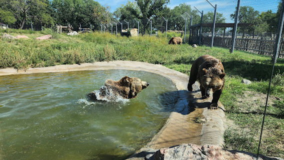 Great Bend Brit Spaugh Zoo