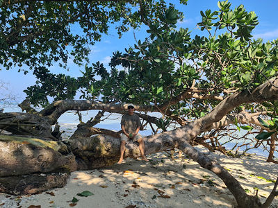 Pantai krui