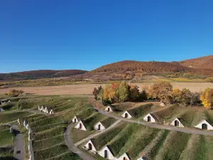 Koporos Cellars