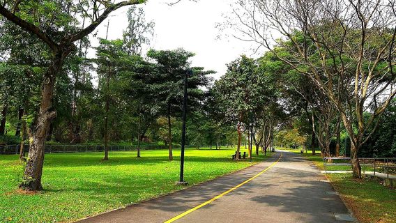 Bahe Park