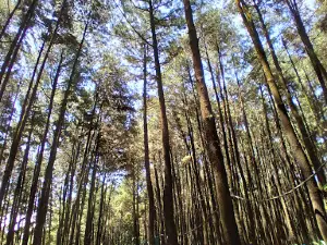 Pancar Mountain Natural Park
