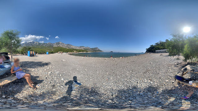 Fourest Büyük Çaltıcak