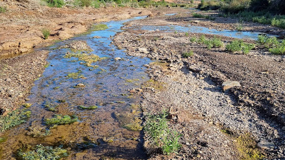 Red Banks Conservation Park