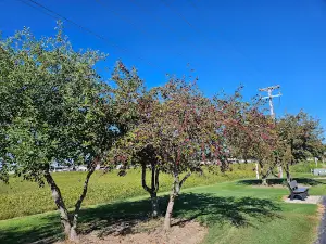 Glik Park