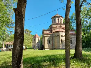 Radovanje Grove