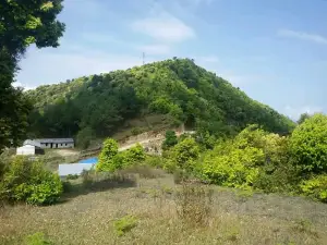 आँखा पोखरी Eye Pond