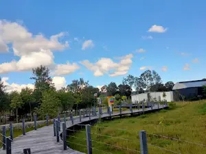 Orquidiario y Jardín Botánico de Comitán