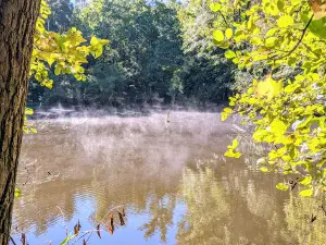 Sherman Branch Nature Preserve