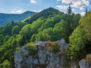 Piatra Șoimilor