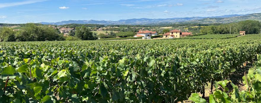 Tour panoramique