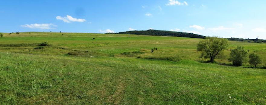 Vulcanii Noroioși de la Filiaș