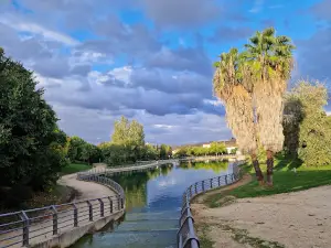 El Rodeo