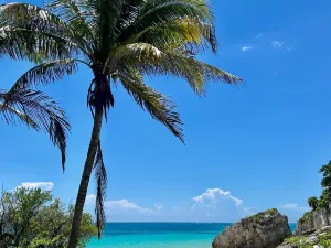 Playa Tortugas