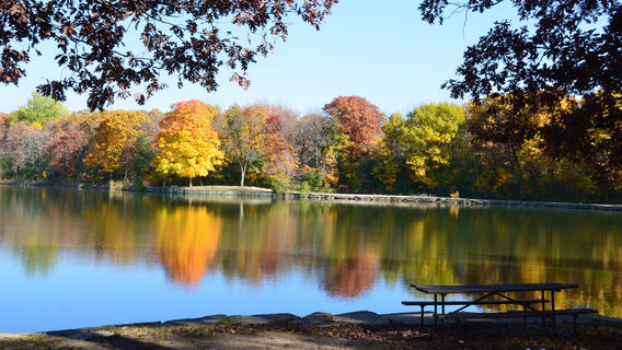 Herrick Lake Forest Preserve