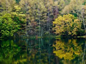 Mishakaike Pond