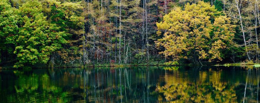 Mishakaike Pond