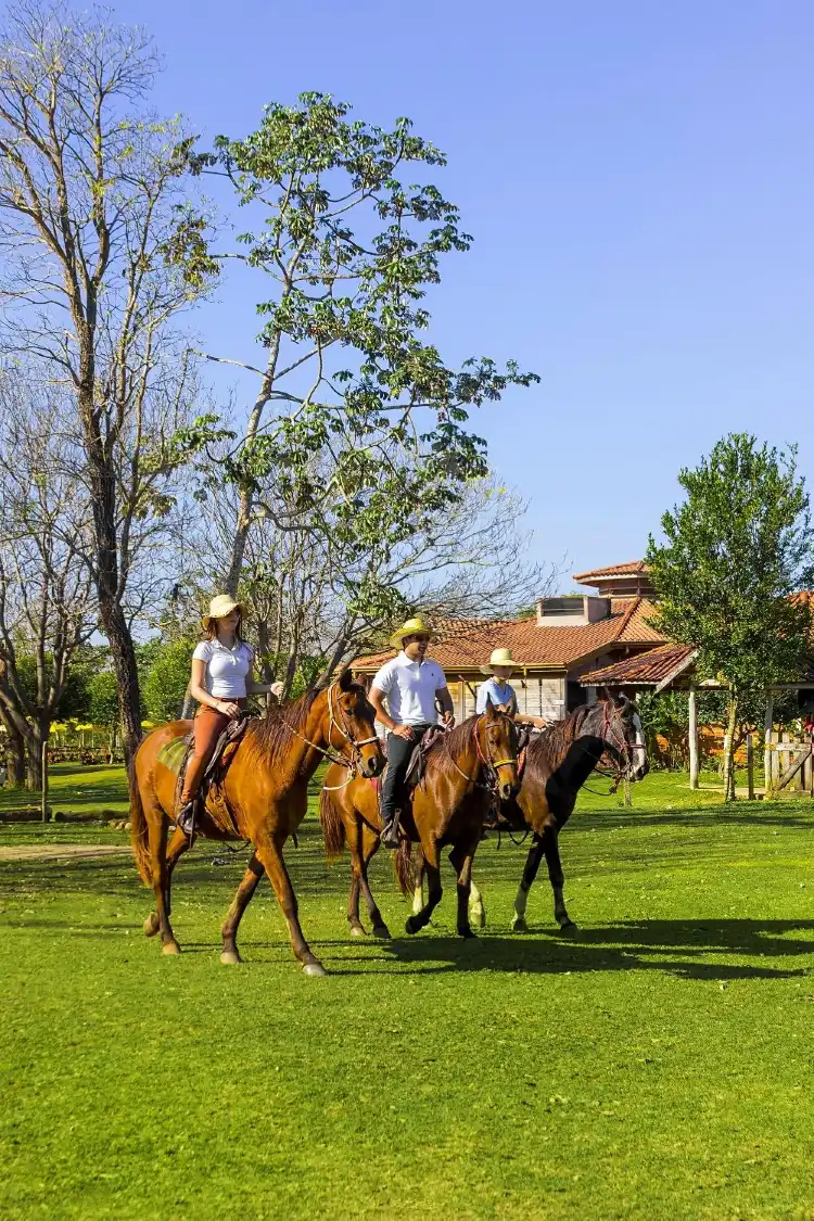 Hotels near Ecological Park River Formoso