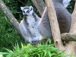Zoopark The Oliemeulen