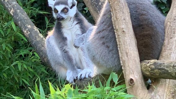 Zoopark The Oliemeulen