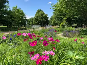 Spreeauenpark Cottbus