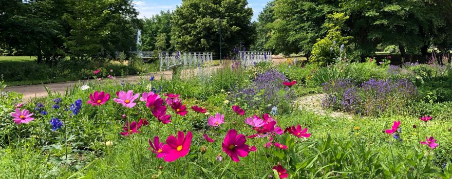 Spreeauenpark Cottbus