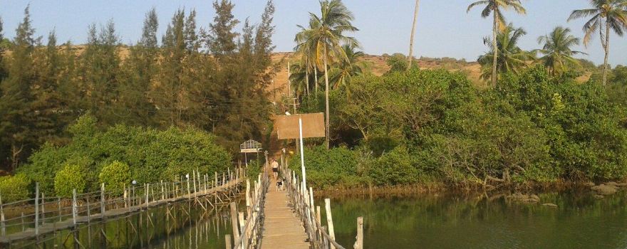 Mandrem Beach