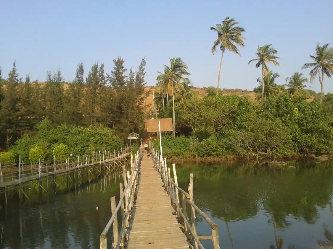 Hotels near Mandrem Beach